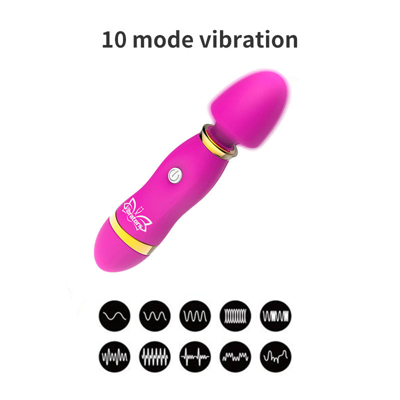 Luxury Mini Vibe Stick