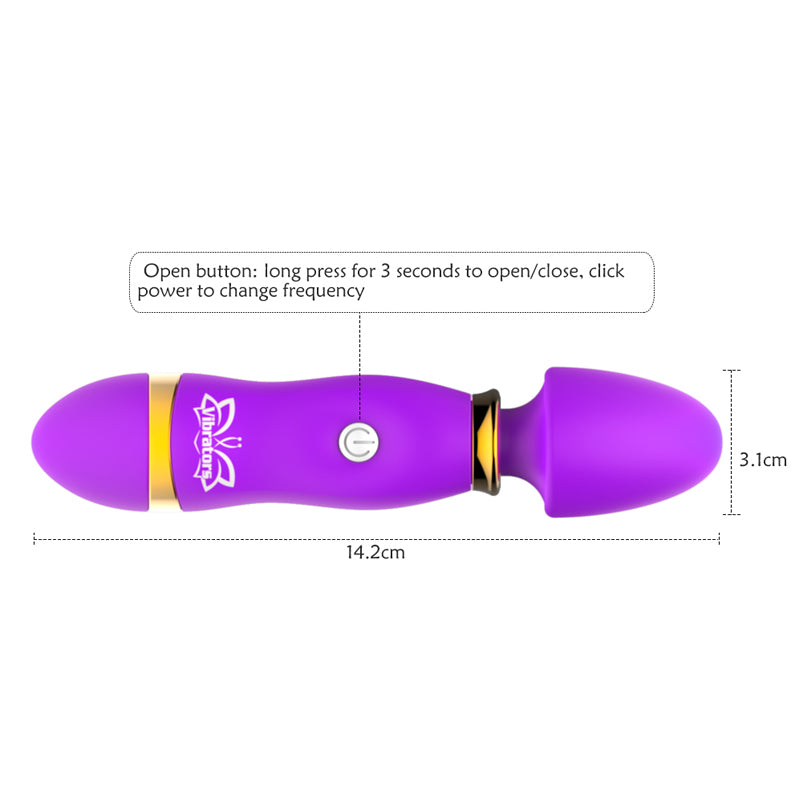 Luxury Mini Vibe Stick