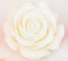 Rose Gold Floral Anal Plug